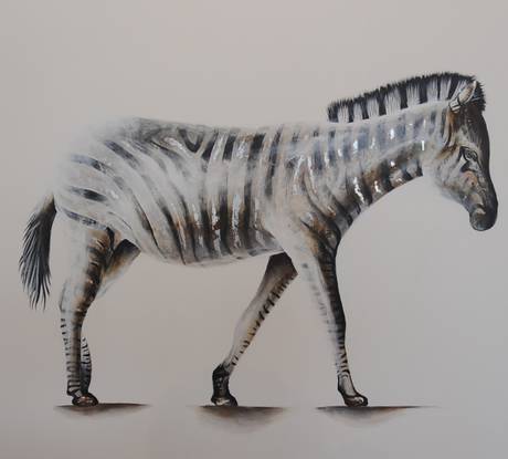 Zebra Portrait (1)
