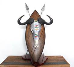 Beaded Blue Wildebeest Skull on Zulu Shield