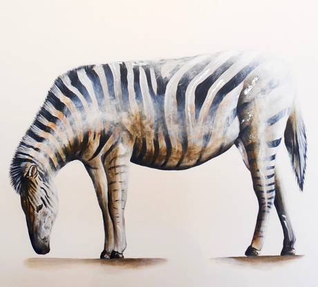 Zebra Portrait (2)